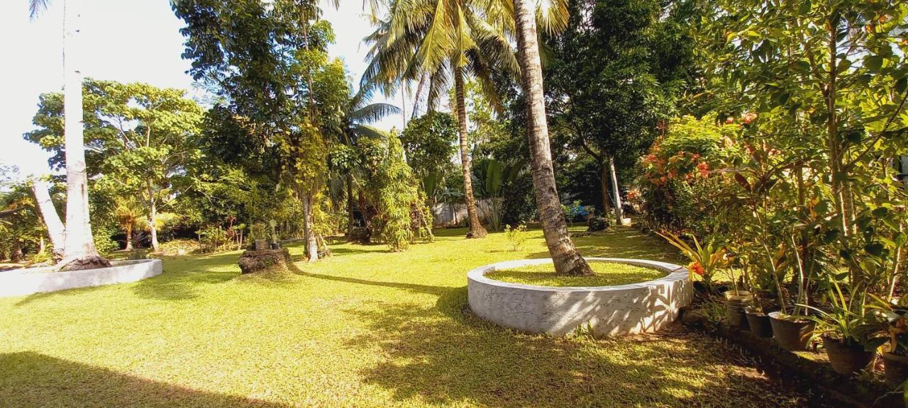Bat Tree Cottages Agoho ภายนอก รูปภาพ